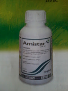 Amistar 250 SC (SYINGENTA)