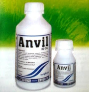Anvil 50 SC (Produk Singenta)
