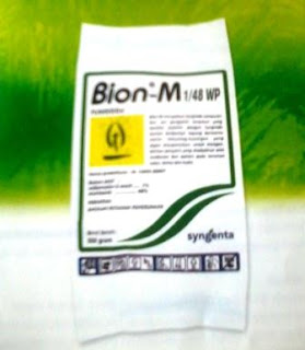 Cepets Media|Review Produk Bion-M 1/48 WP