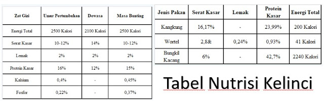 Tips agar kelinci cepat hamil