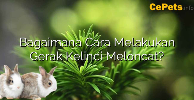 Bagaimana Cara Melakukan Gerak Kelinci Meloncat?