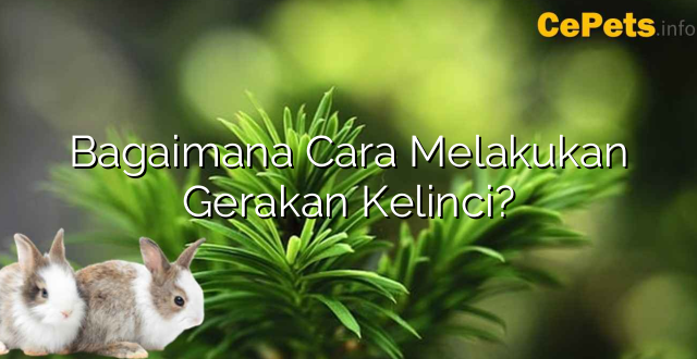 Bagaimana Cara Melakukan Gerakan Kelinci?