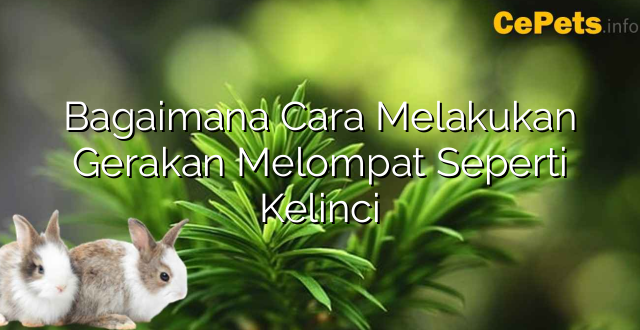 Bagaimana Cara Melakukan Gerakan Melompat Seperti Kelinci