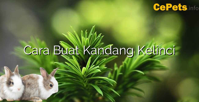 Cara Buat Kandang Kelinci