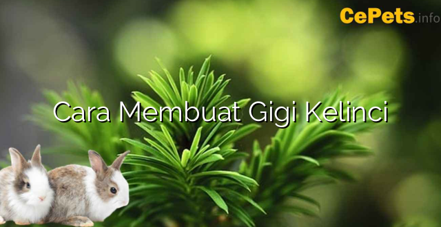 Cara Membuat Gigi Kelinci