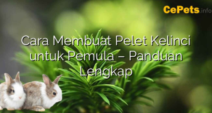 Cara Membuat Pelet Kelinci untuk Pemula – Panduan Lengkap