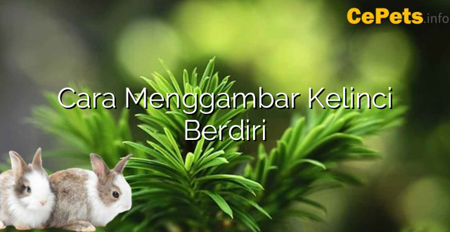 Cara Menggambar Kelinci Berdiri