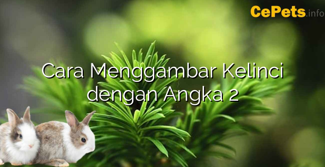Cara Menggambar Kelinci dengan Angka 2