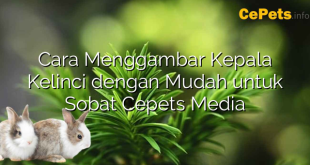 Cara Menggambar Kepala Kelinci dengan Mudah untuk Sobat Cepets Media