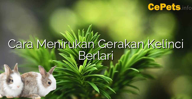 Cara Menirukan Gerakan Kelinci Berlari