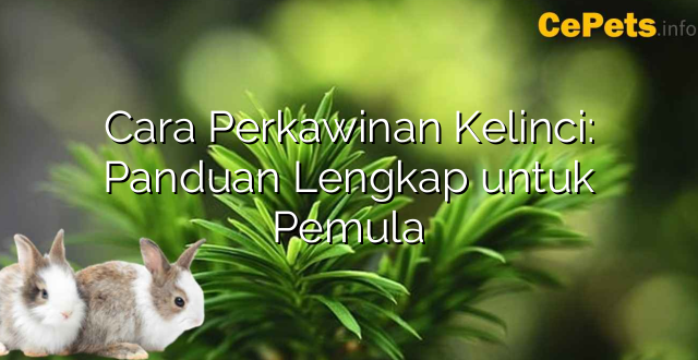 Cara Perkawinan Kelinci: Panduan Lengkap untuk Pemula